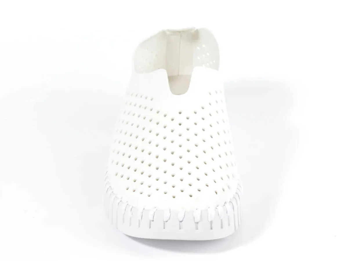 WHITE TULIP 139